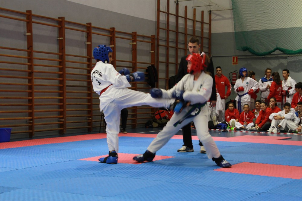 III Copa Seúl (95).jpg
